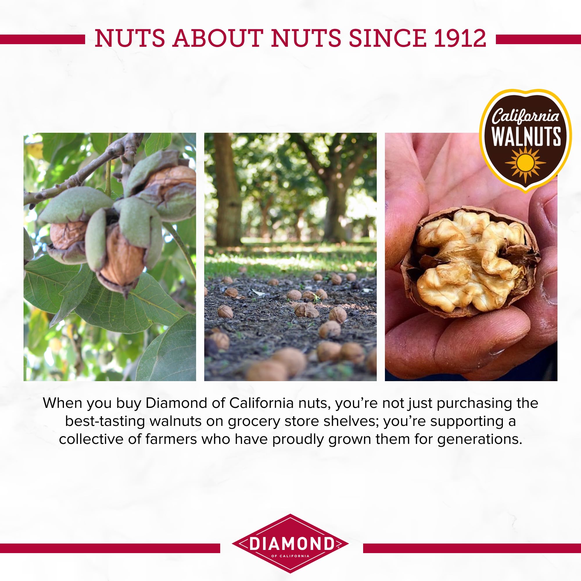 Diamond of California chopped maple walnuts in bowl for baking and topping