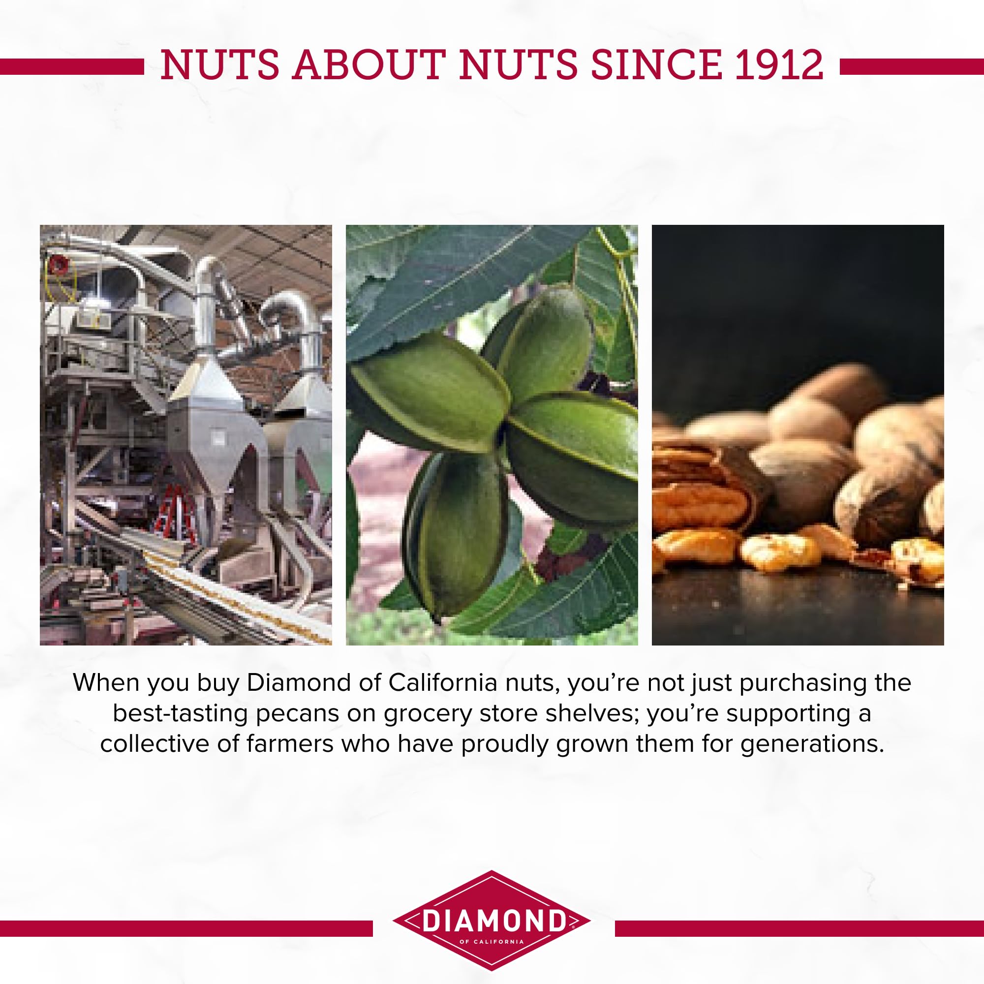 Diamond of California chopped pecans prepared for baking recipes