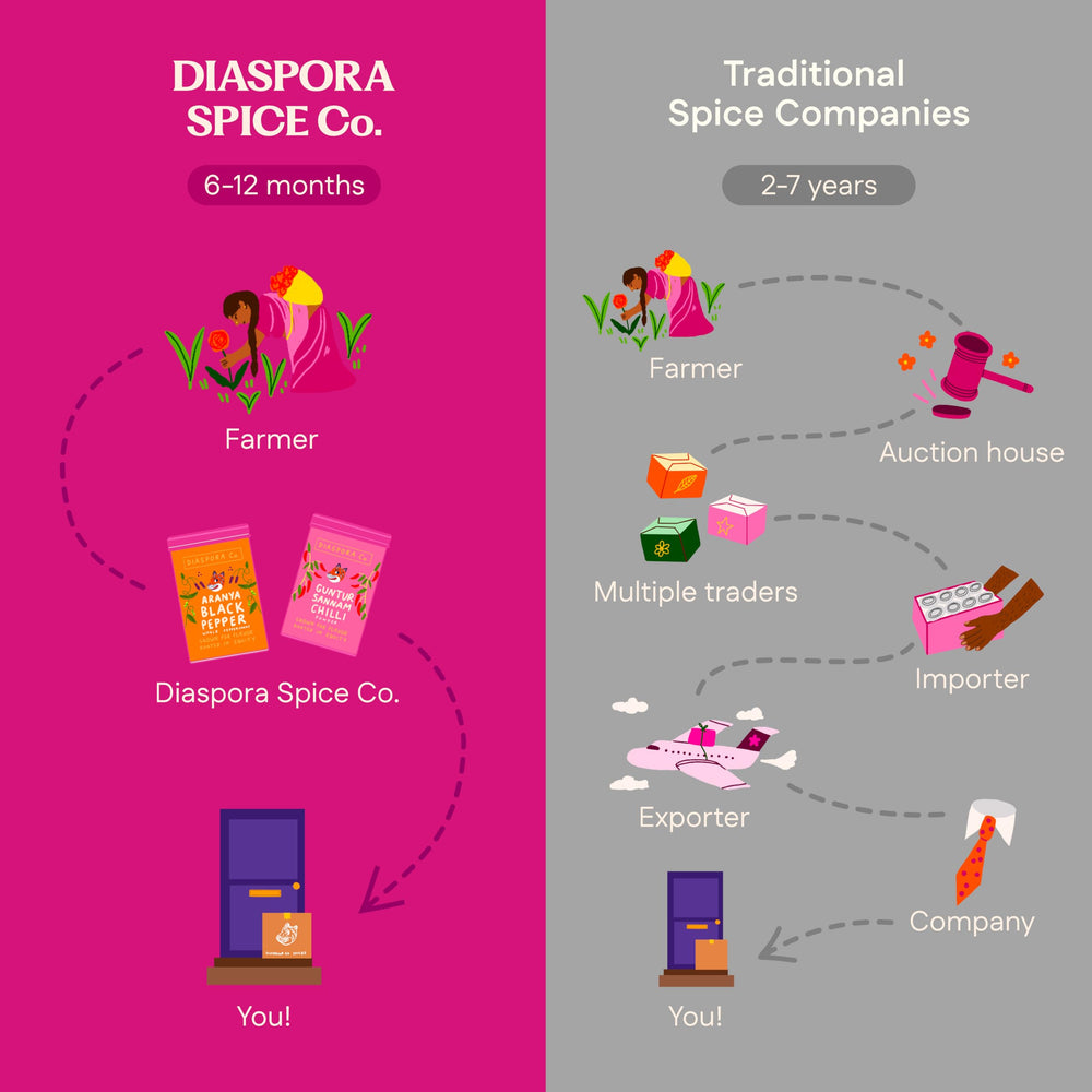 Diaspora Spice Co used during a movie-night setting, creating a flavorful experience
