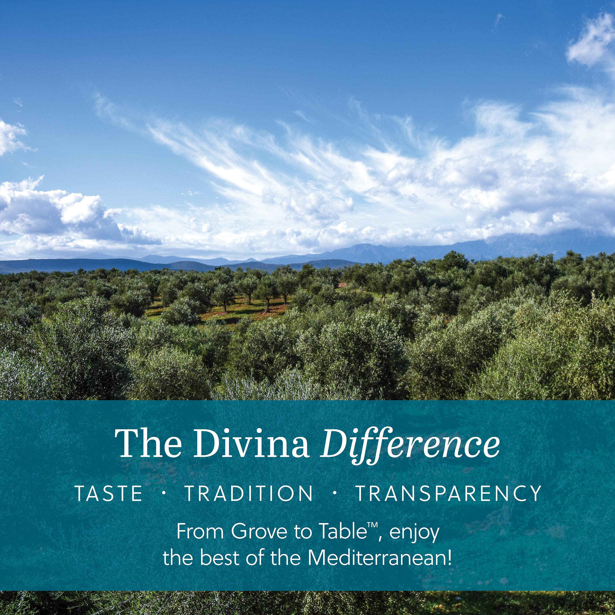 Divina fig spread in picnic setting offering portable, mess-free gourmet flavor