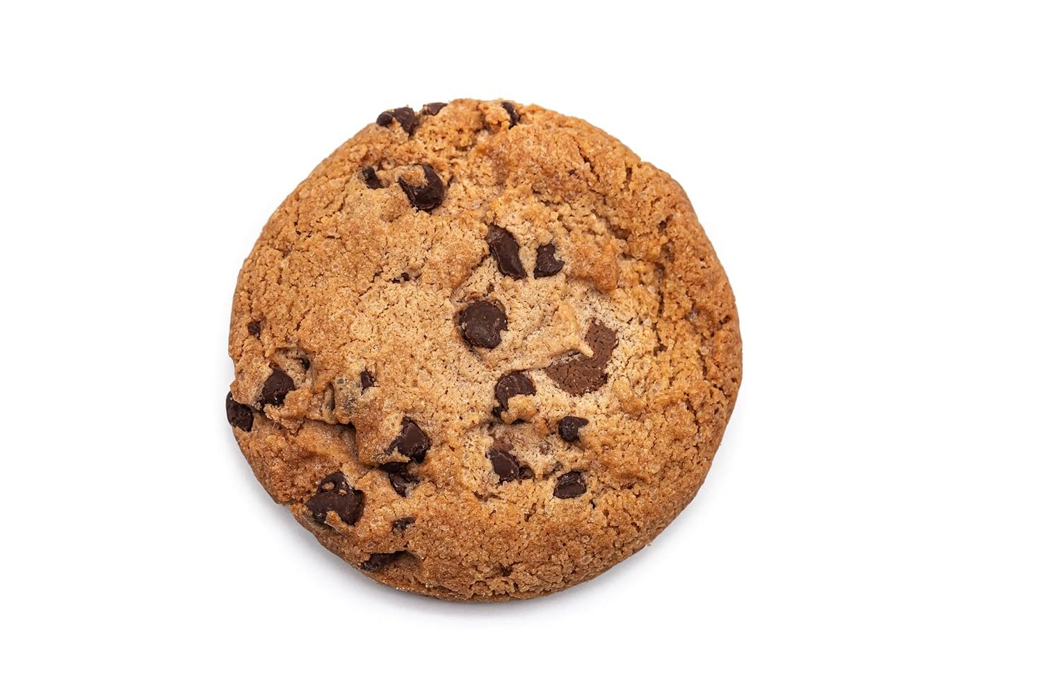 Doctor Rockers cookie slice size comparison illustrating serving scale and portion control benefit