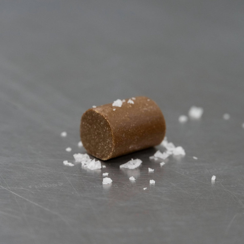 Dry Brew chew held in hand to show size and easy portion control benefit
