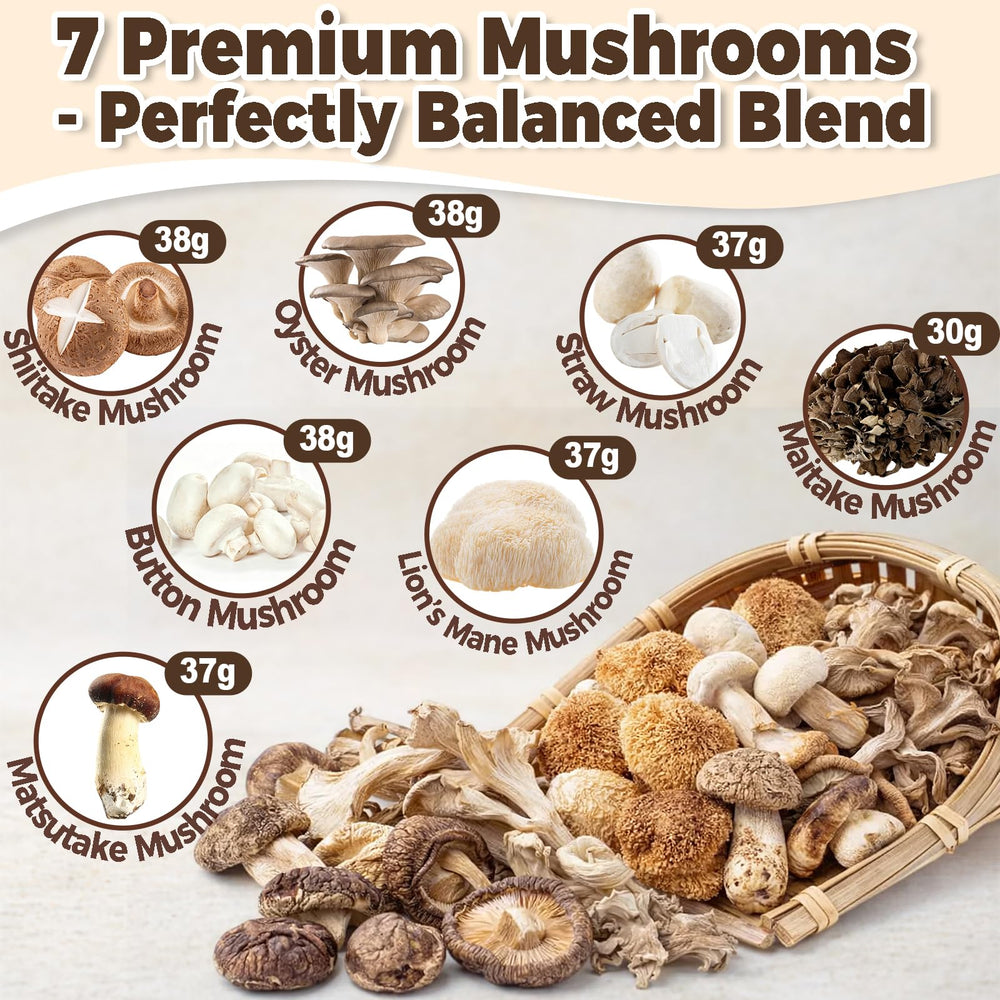 dzikekei assorted dried mushrooms used in blend showing ingredient variety