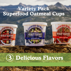 Earnest Eats Blueberry Chia top-view texture with berries and seeds for antioxidant boost