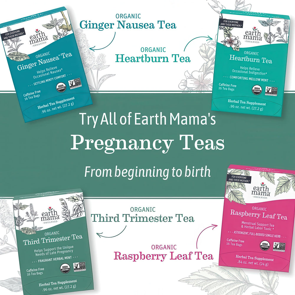 Earth Mama tea bag next to an 8oz cup for serving-size comparison and easy brewing guidance