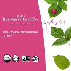Earth Mama teabag close-up highlighting single-herb design and easy steeping