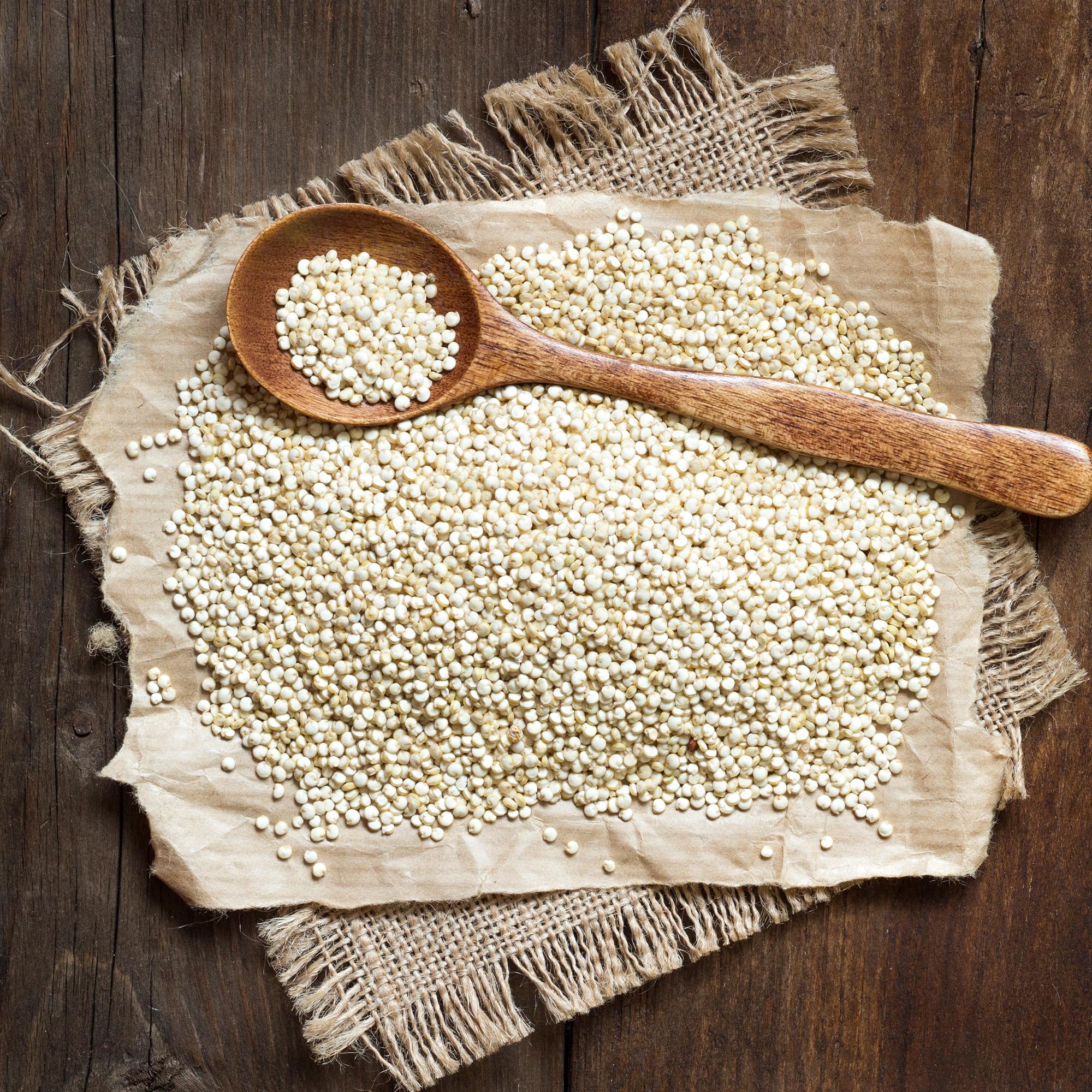 Earthborn Elements scoop of quinoa showing one-gallon volume and portioning ease