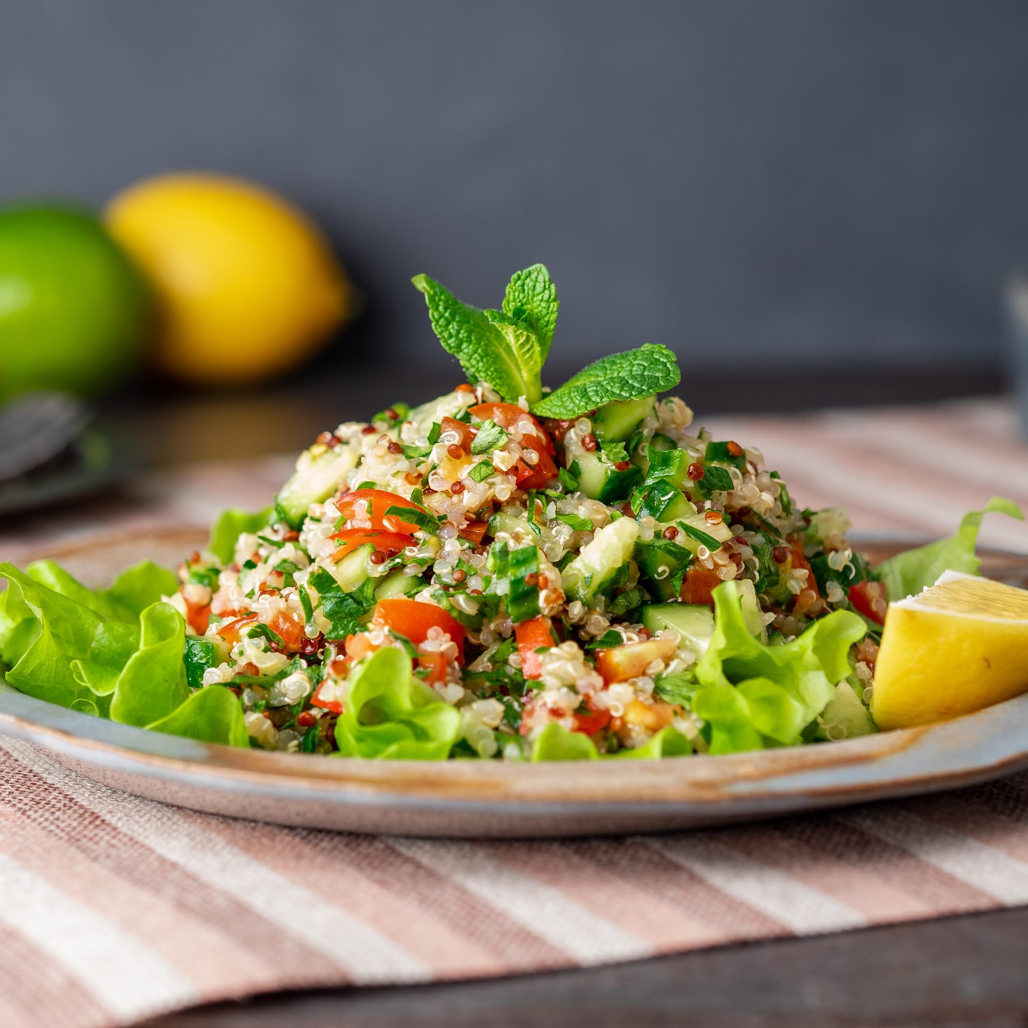 Earthborn Elements quinoa beside rice showing substitution option and protein benefit