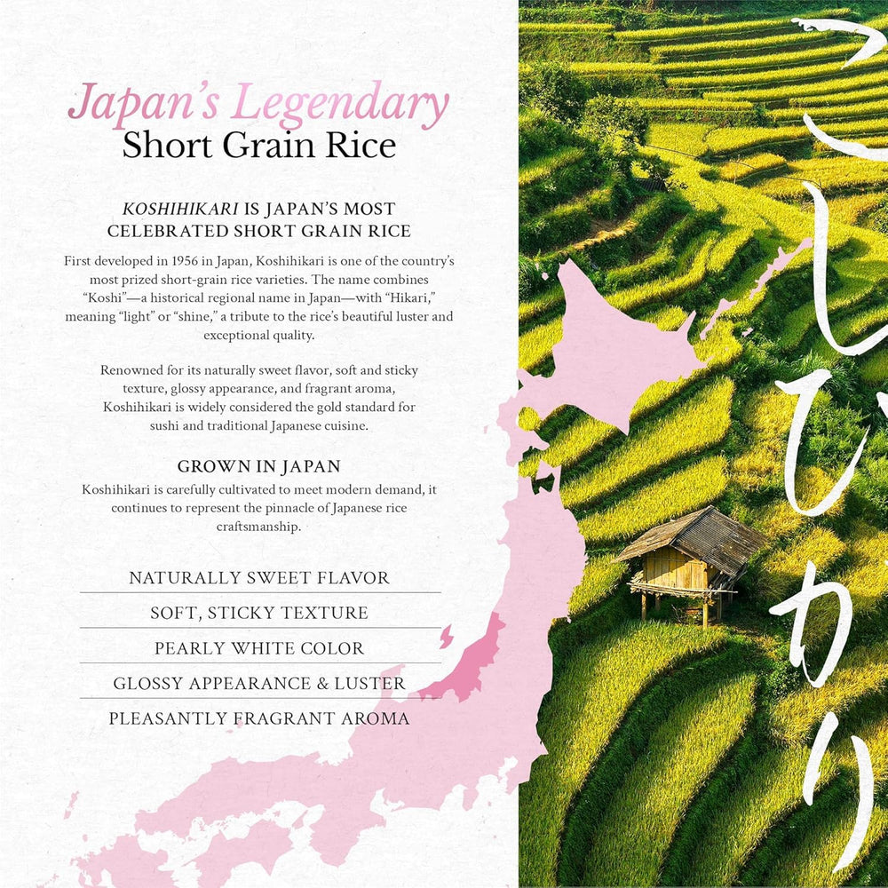 East and Else close-up of Koshihikari grains showing glossy, uniform texture