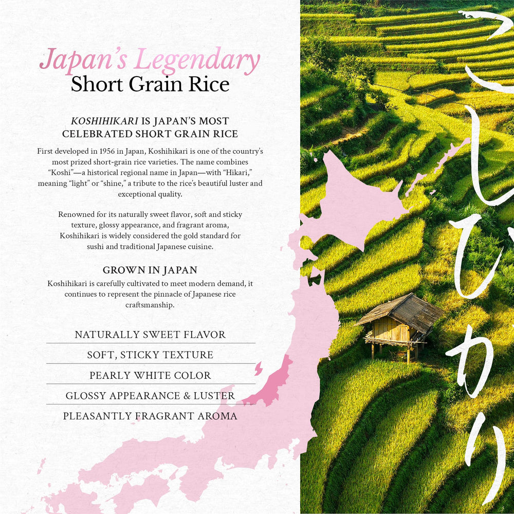 East and Else close-up of uncooked Koshihikari grains highlighting purity