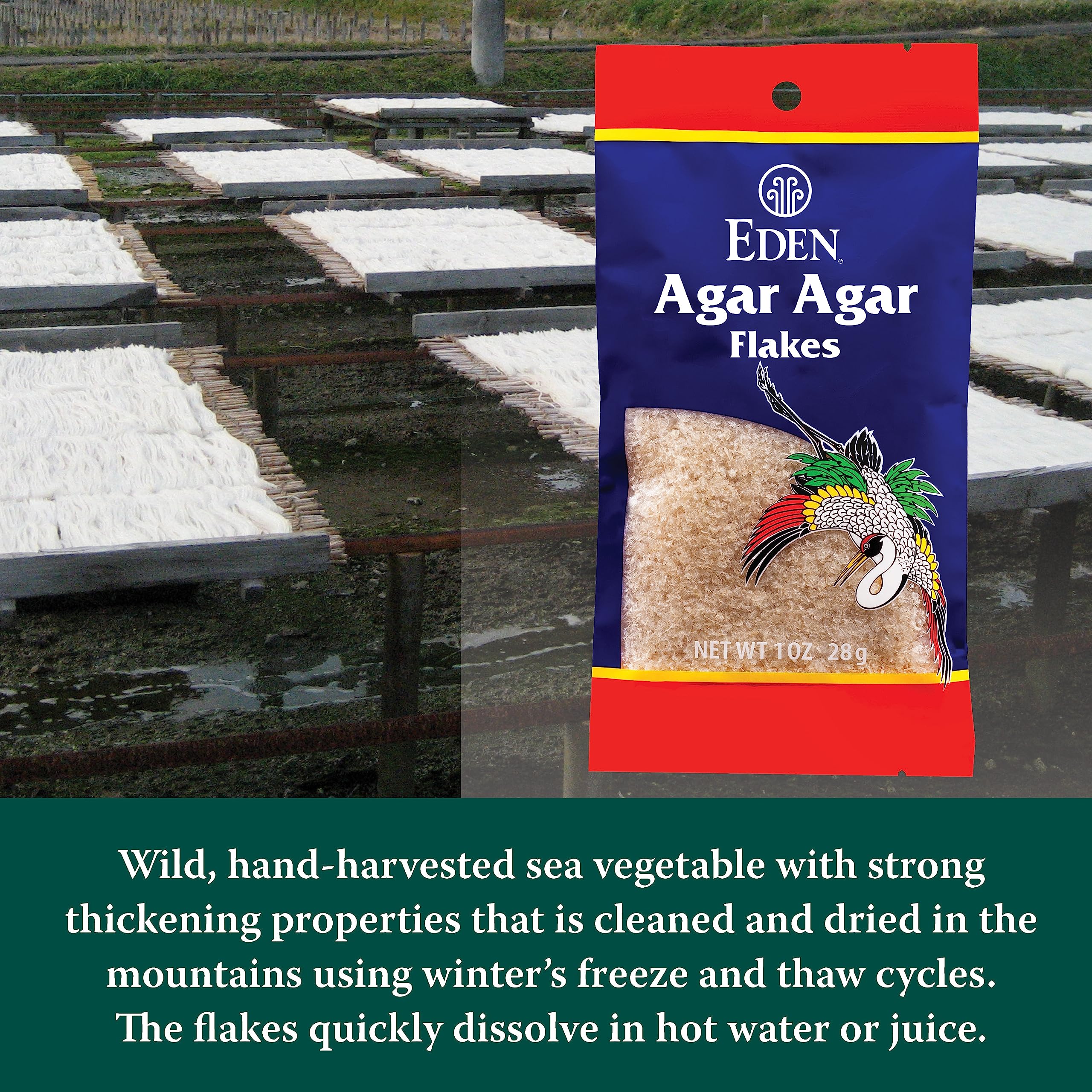 CREATION AND MAINTENANCE OF PURITY IN FOOD eden agar dissolving in pot to ensure complete melt