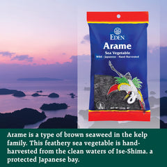 CREATION AND MAINTENANCE OF PURITY IN FOOD eden arame close texture detail showing delicate flakes and tender finish