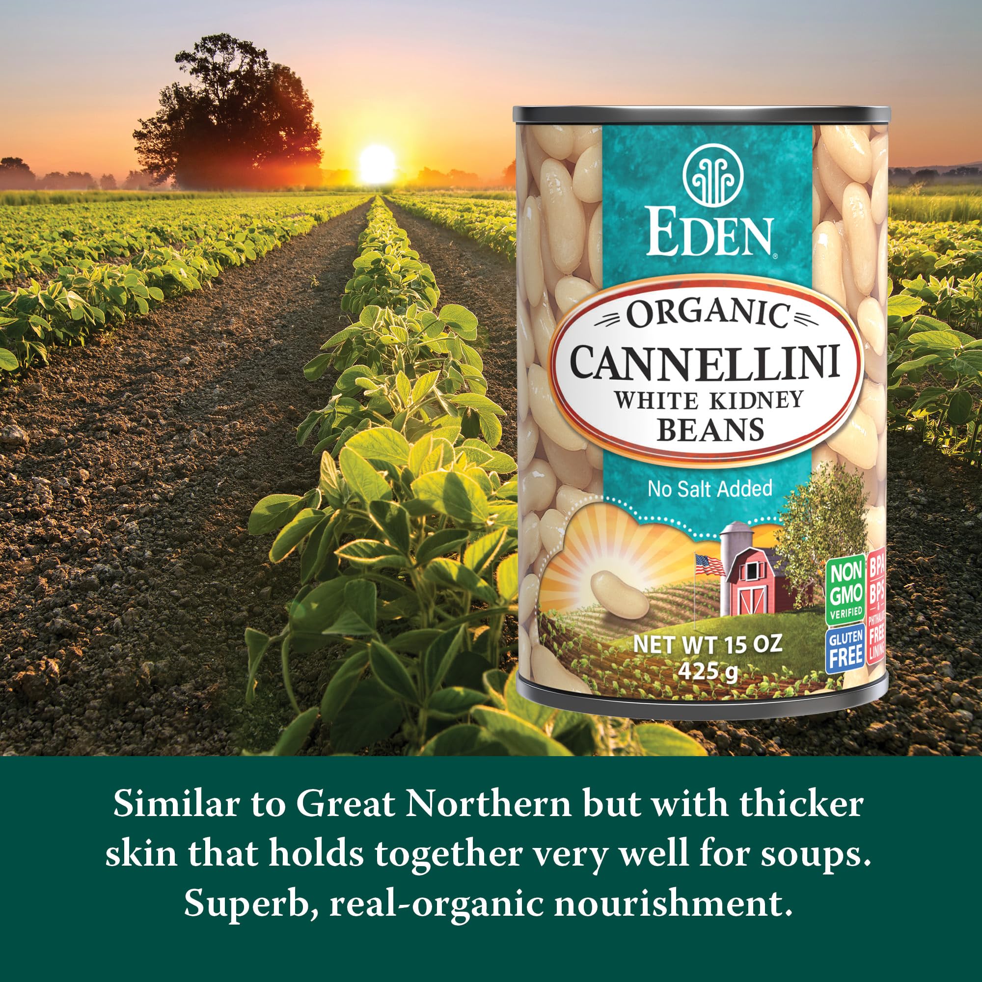 bowl of Eden Cannellini beans ready to use in salads for convenience