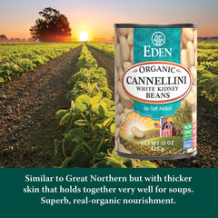 bowl of Eden Cannellini beans ready to use in salads for convenience