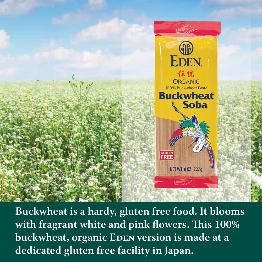 Eden cooked soba in a steaming soup bowl, brand visible and comfort meal appeal