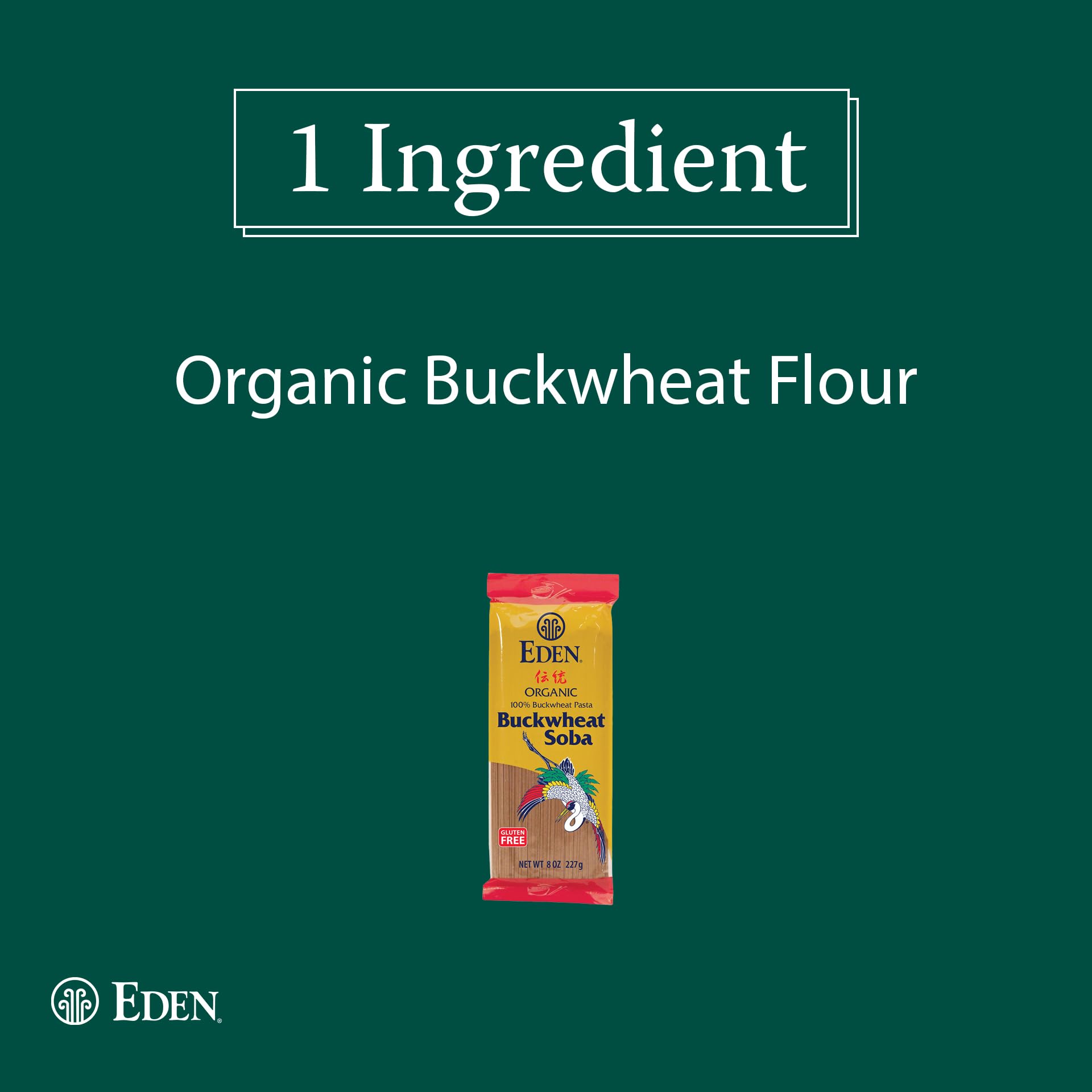 Eden dry noodle bundle of brown buckwheat soba, highlighting texture and natural color