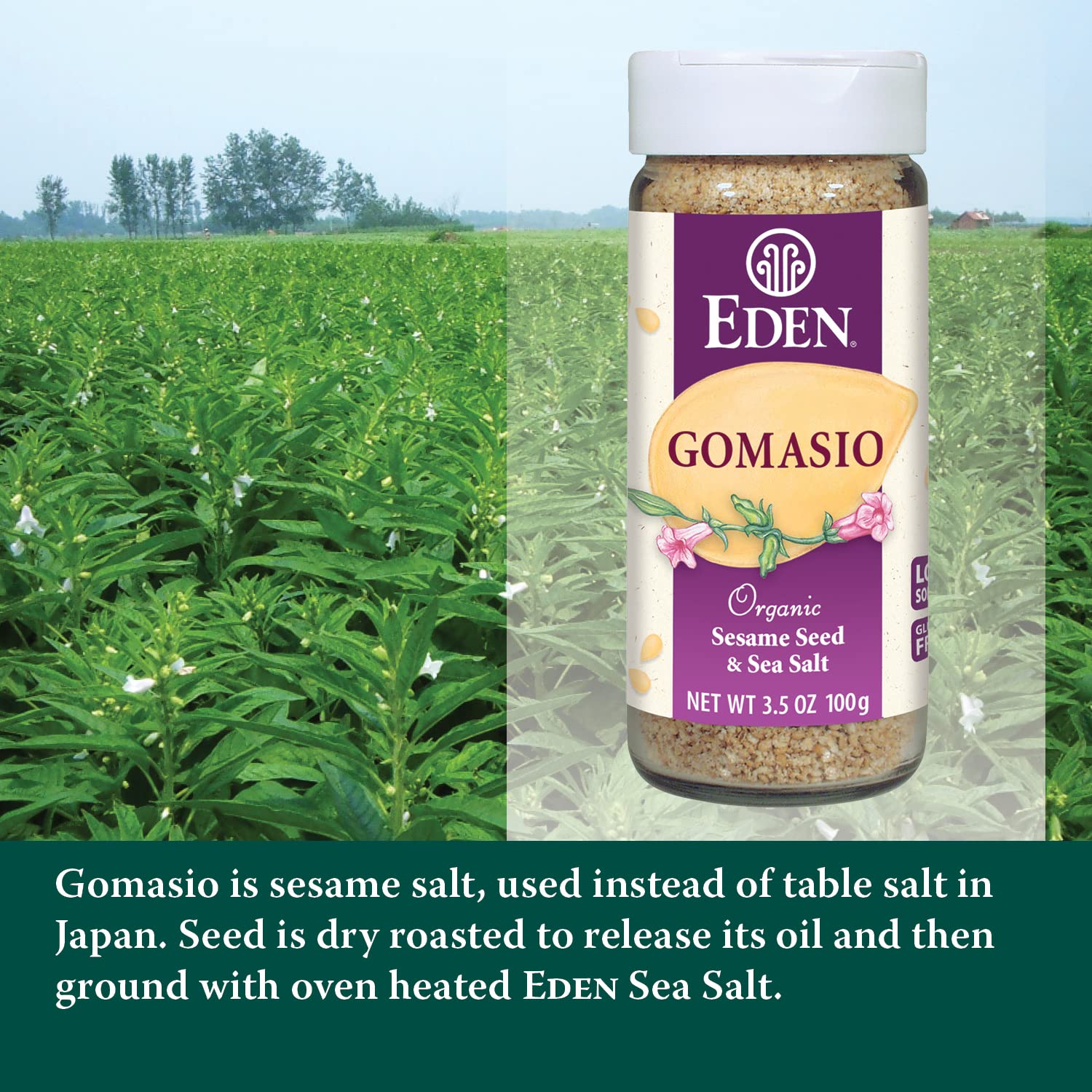 Eden Foods gomasio closeup of dry roasted sesame texture for aroma