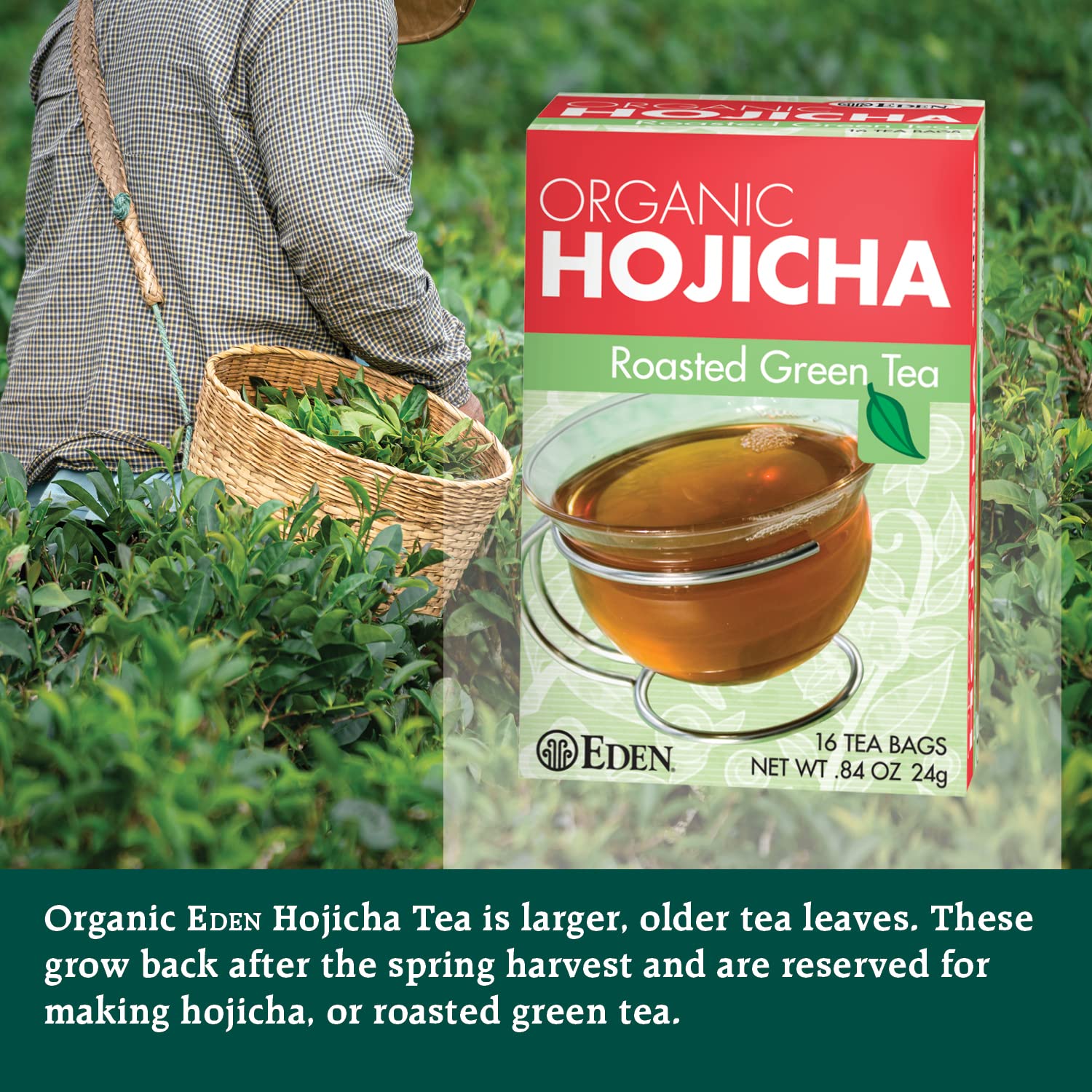 Eden Hojicha dry roasted leaves texture displaying rich toasted flavor benefit