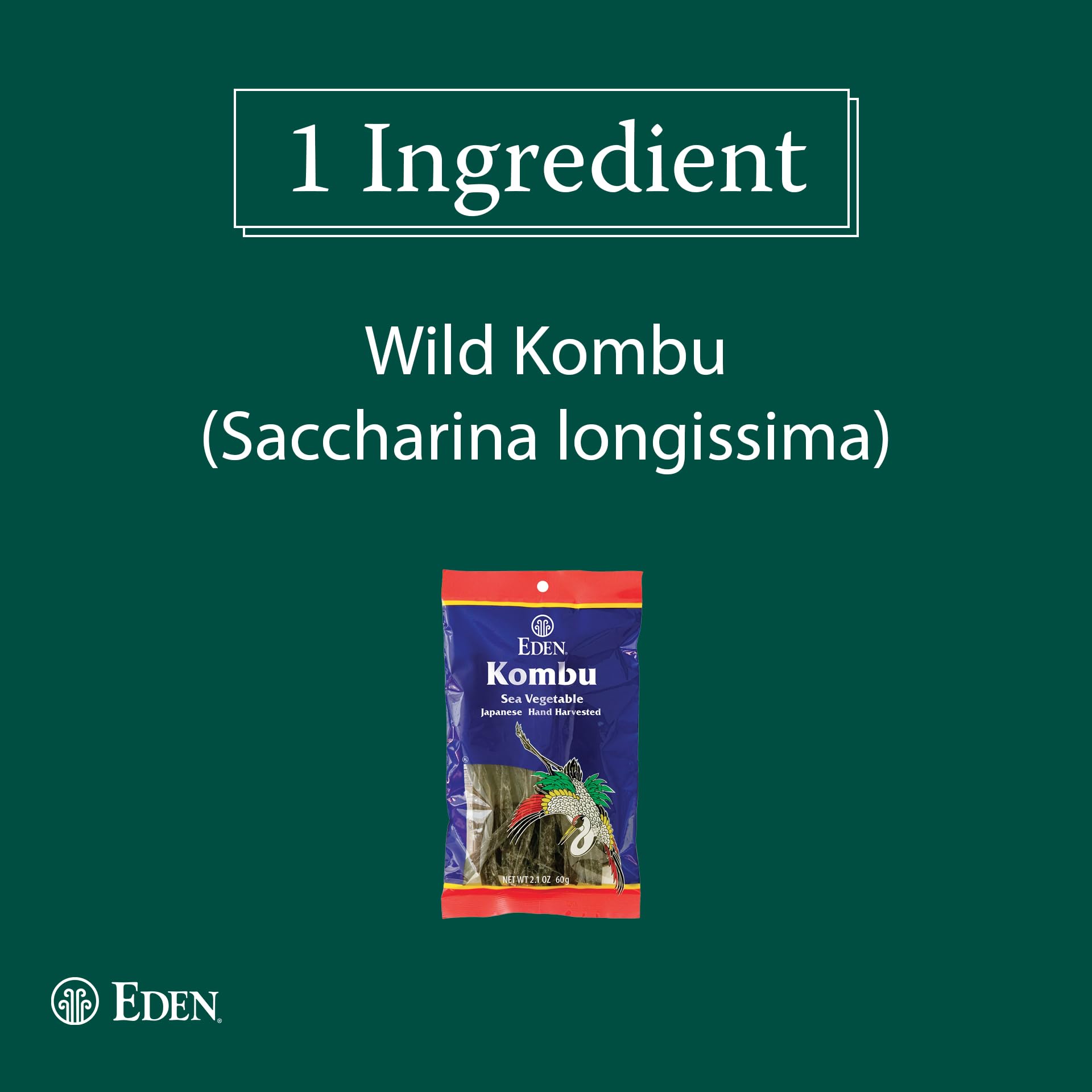 Eden kombu close-up of long strips highlighting natural texture and culinary versatility