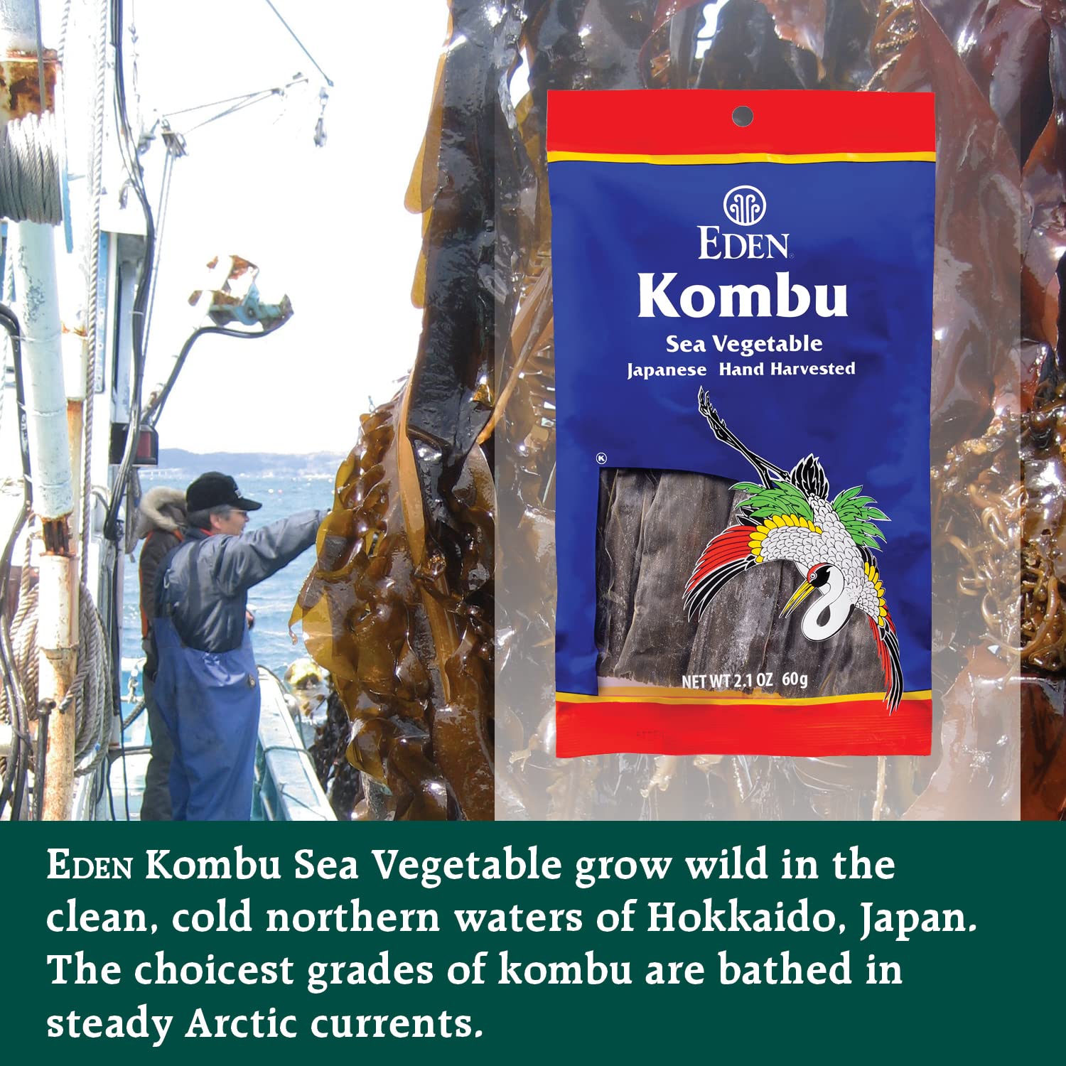 Eden kombu label close-up showing brand and product details for ingredient transparency