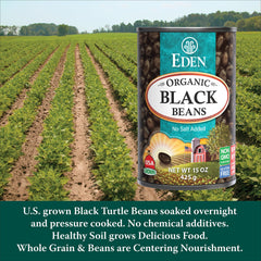 CREATION AND MAINTENANCE OF PURITY IN FOOD close-up of bean texture highlighting firmness
