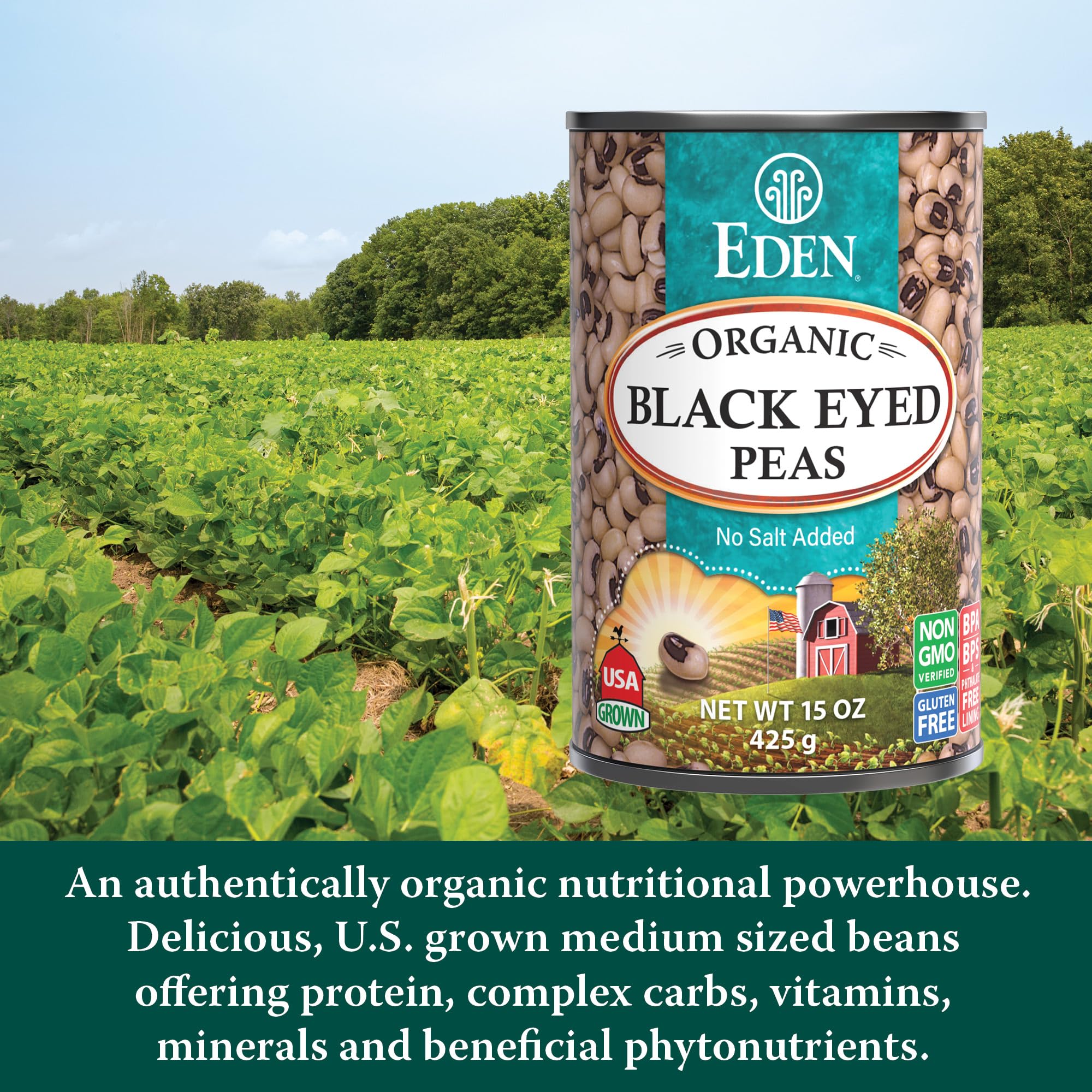 CREATION AND MAINTENANCE OF PURITY IN FOOD open can with black eyed peas showing ready-to-use convenience
