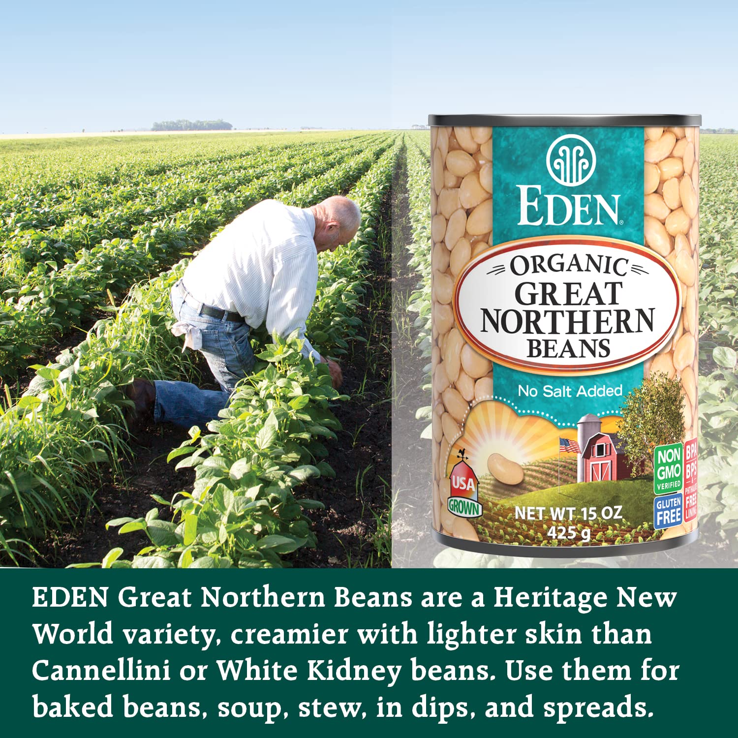 opened Eden Organic can showing great northern beans and convenient heat-and-serve benefit