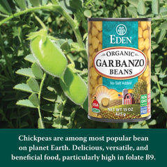 Eden Organic aquafaba pouring from can showcasing vegan egg substitute