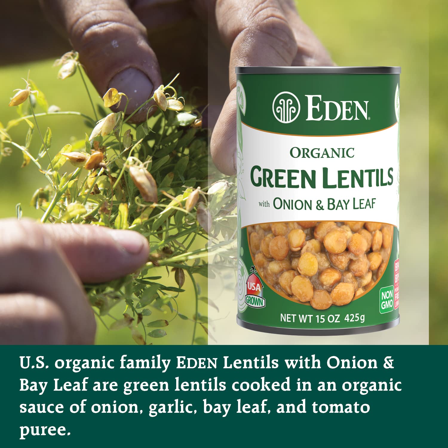 Close-up of Eden Organic lentils showing tender texture and natural seasoning benefits
