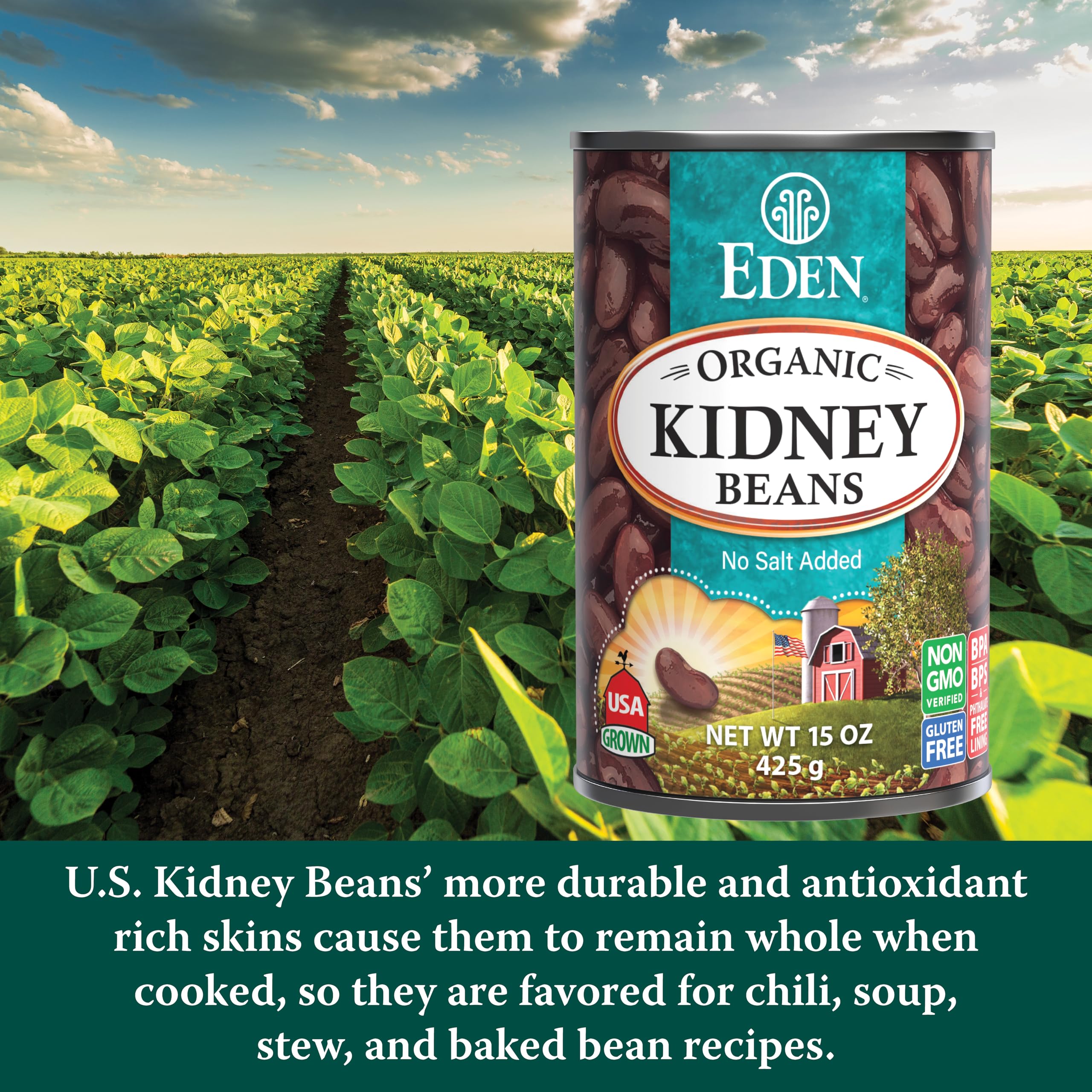 Eden Organic close-up of bean texture highlighting firm consistency