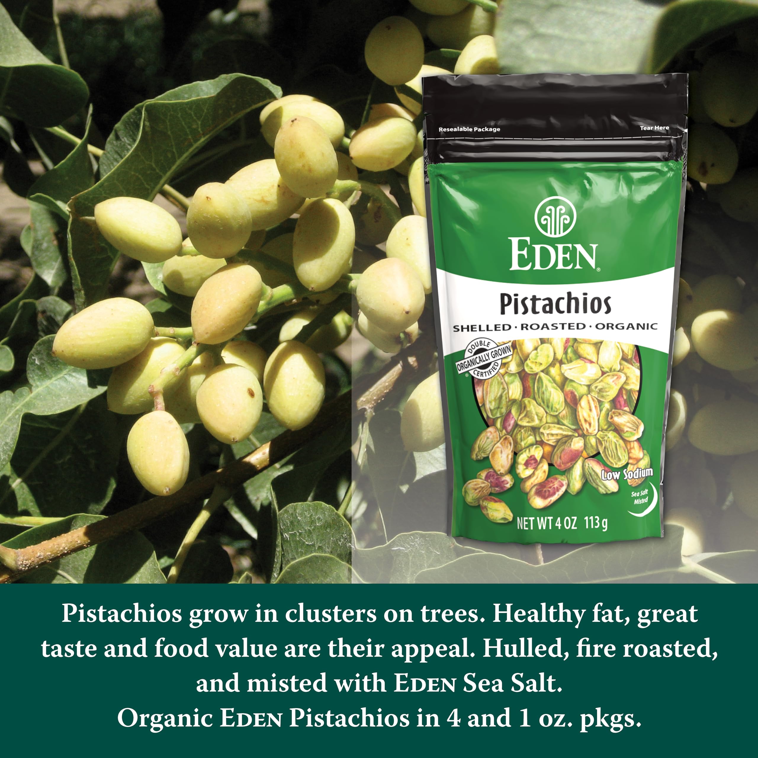 EDEN pistachios reclosable pouch detail showing freshness-preserving seal