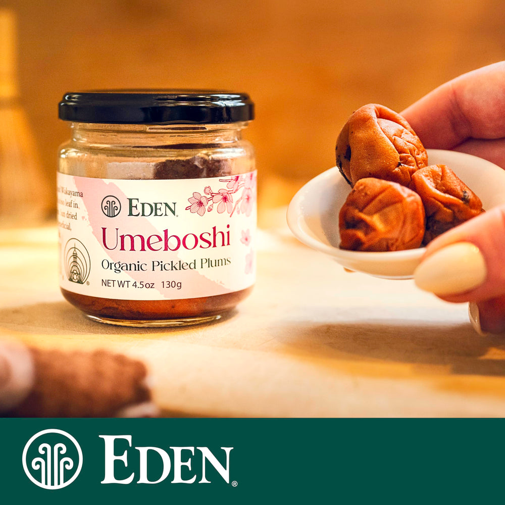 CREATION AND MAINTENANCE OF PURITY IN FOOD umeboshi placed inside a rice ball adding bright savory acidity
