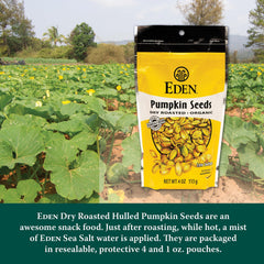 close-up dry roasted Eden seeds texture highlighting crunch and light sea salt