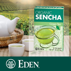 CREATION AND MAINTENANCE OF PURITY IN FOOD eden sencha brewed cup top view reveals bright color and aroma