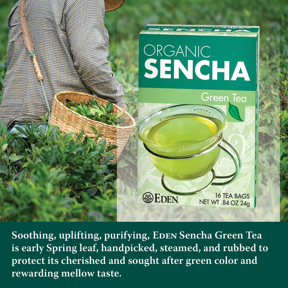 CREATION AND MAINTENANCE OF PURITY IN FOOD eden sencha steamed leaves close-up shows vivid green texture