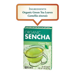 CREATION AND MAINTENANCE OF PURITY IN FOOD eden sencha close-up unbleached tea bag highlights pure filtration