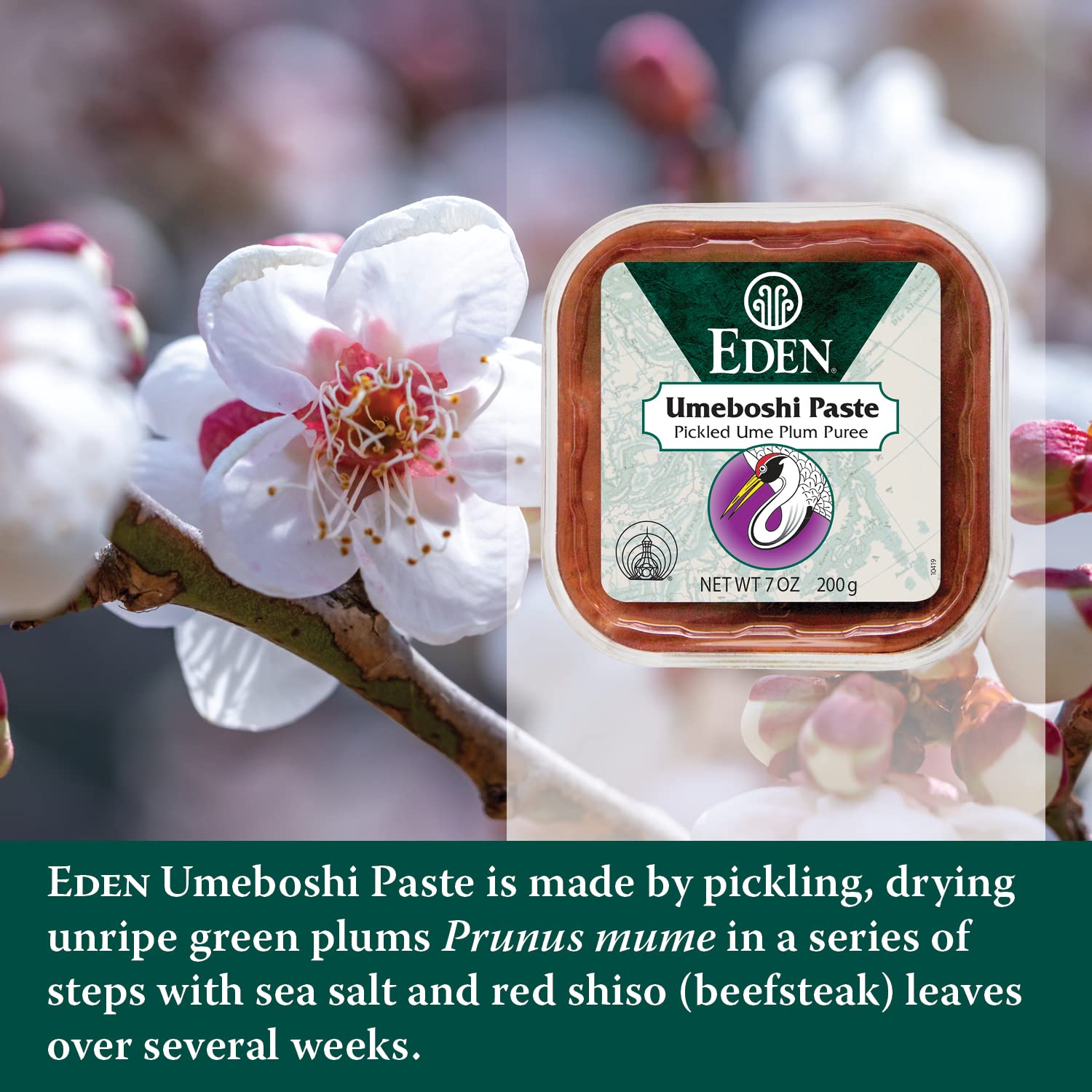 Eden umeboshi paste on spoon ready to mix, quick way to flavor sauces