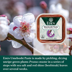 Eden umeboshi paste on spoon ready to mix, quick way to flavor sauces