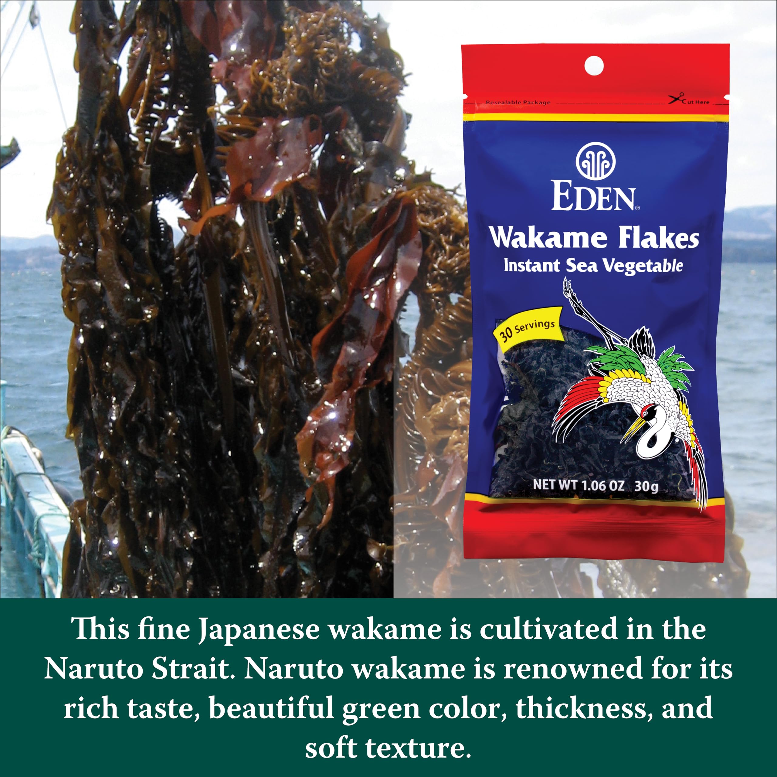 Miso soup with Eden wakame flakes, adding bright green color and savory depth