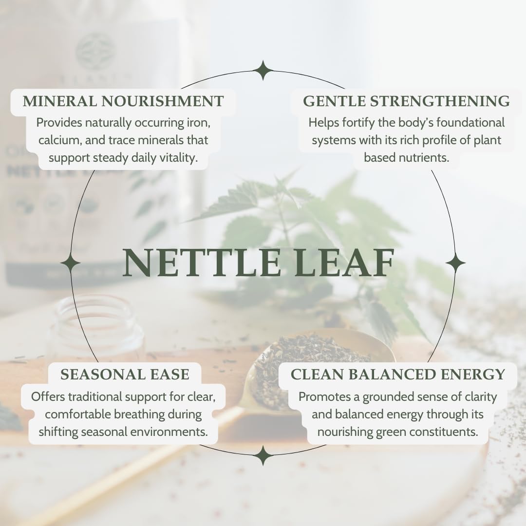 Elanen Naturals brewed nettle tea in a cup demonstrating rich color and aroma