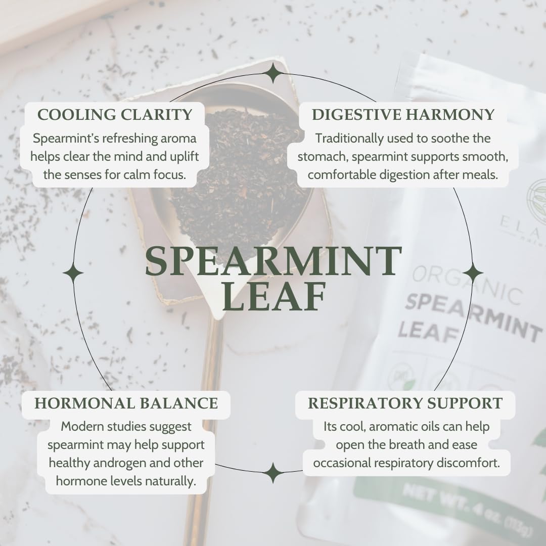Elanen Naturals brewed infusion cup demonstrating bright minty tea flavor