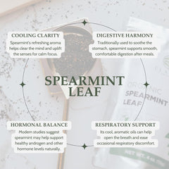 Elanen Naturals brewed infusion cup demonstrating bright minty tea flavor