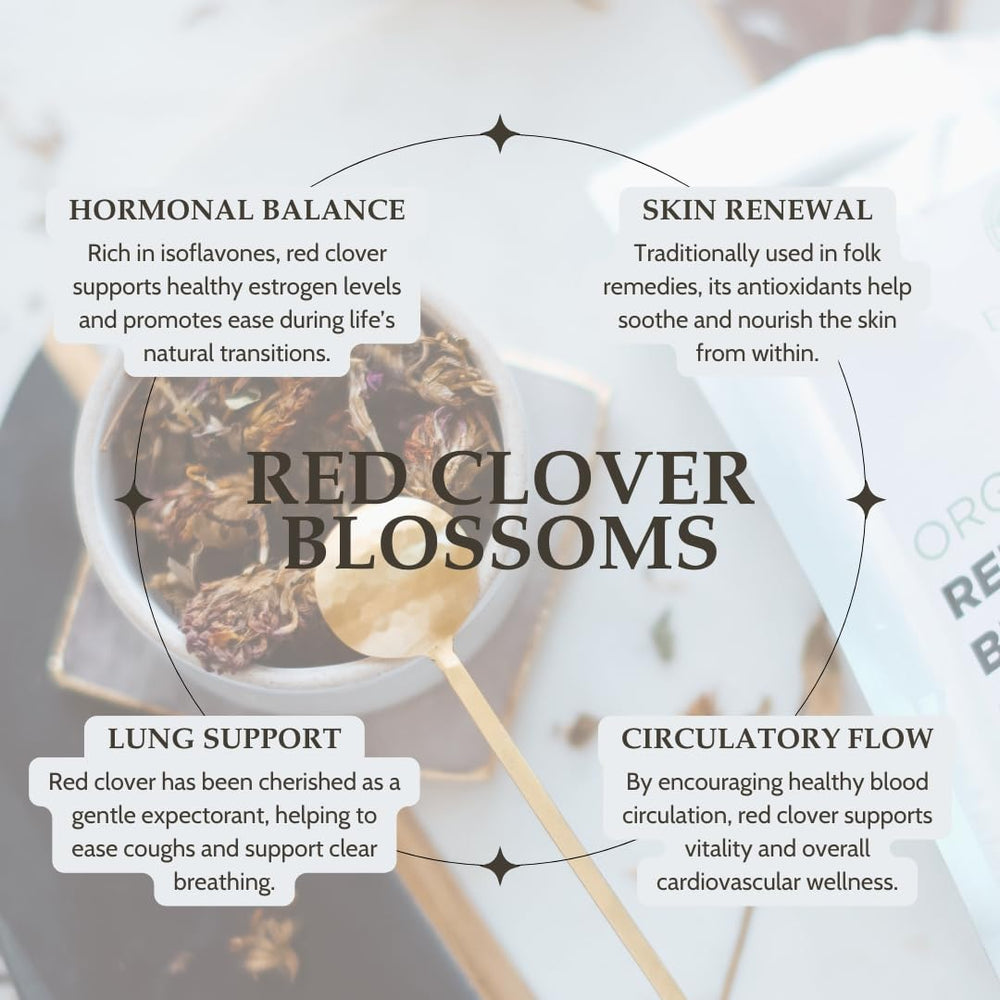 Elanen Naturals brewed red clover tea in cup highlighting mild aromatic infusion