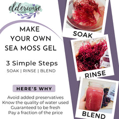 Elderwise Organics close-up seaweed texture illustrating fine fibers and easy rehydration