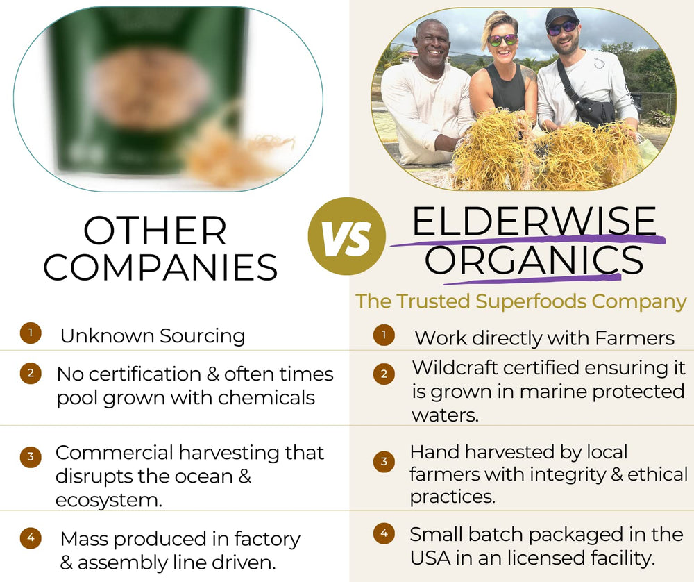 Elderwise Organics scale comparison with hand to show actual product size and quantity