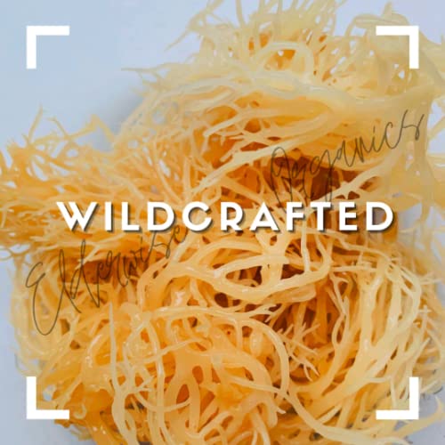 Elderwise Organics label stating wildcrafted Saint Lucia origin and trust