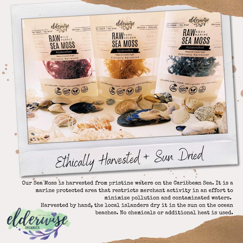 Elderwise Organics smoothie bowl topped with gel showing culinary use and presentation
