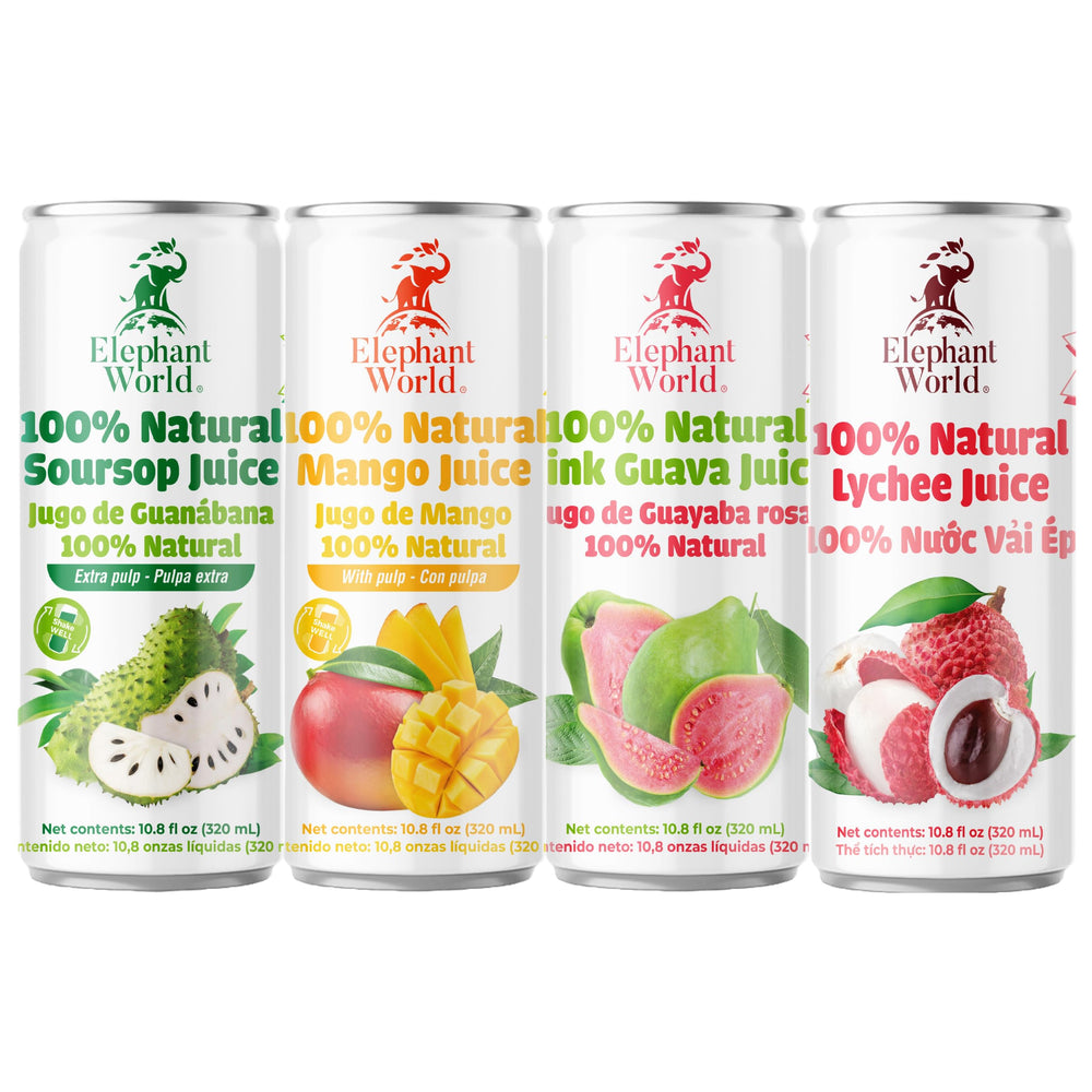 ELEPHANT WORLD front packaging showing 12-pack and brand clarity