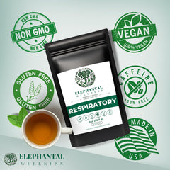 Elephantal Wellness arranged herb bunches of mullein, thyme and eucalyptus highlighting natural ingredients