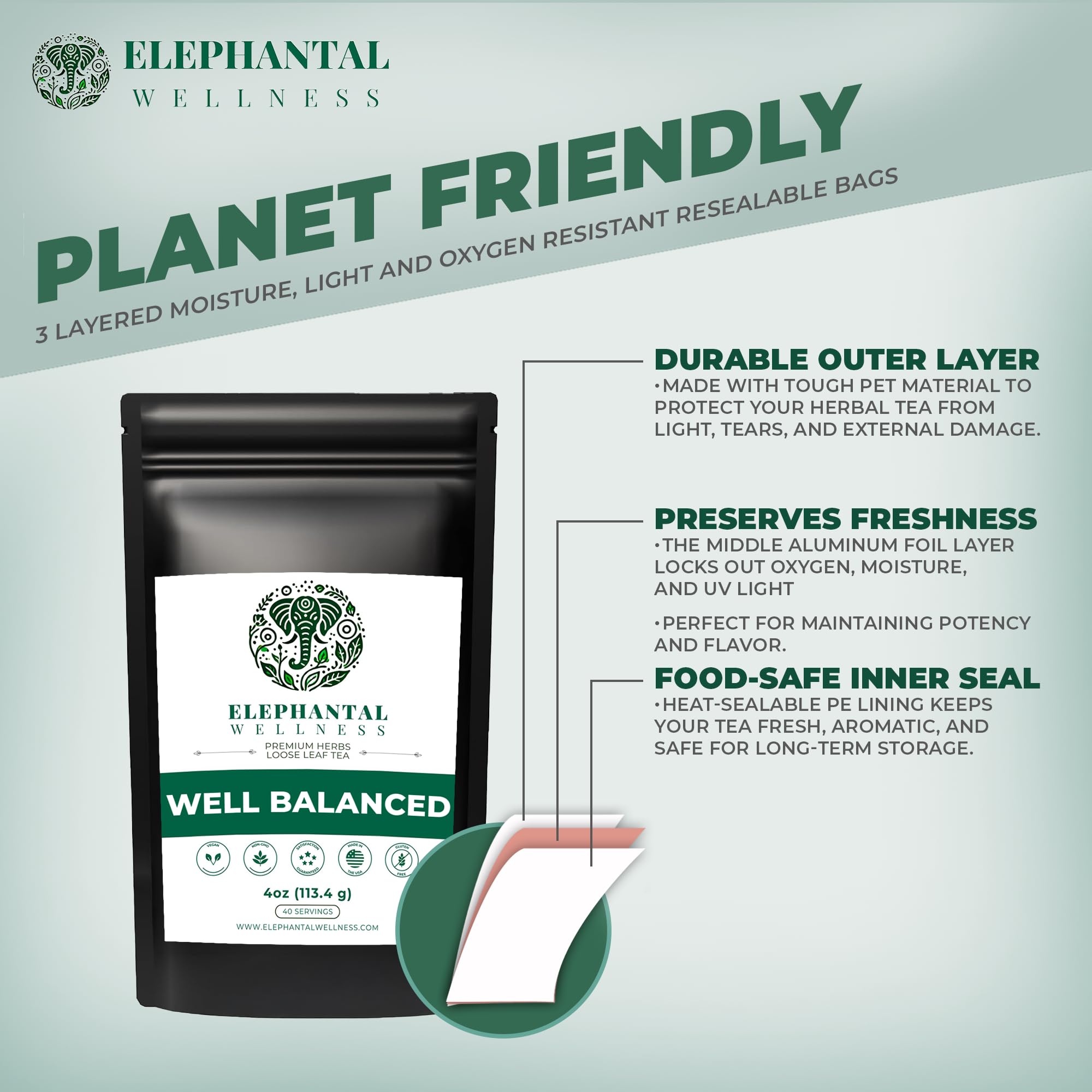 Elephantal Wellness Lion’s Mane and Reishi mushrooms detail for cognitive and immune support